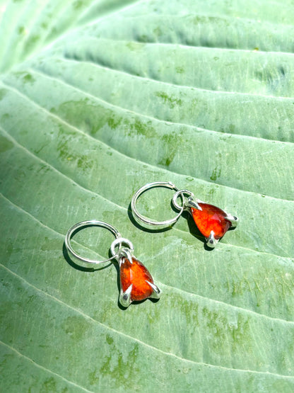 Glowy Garnet Claw Set Earrings