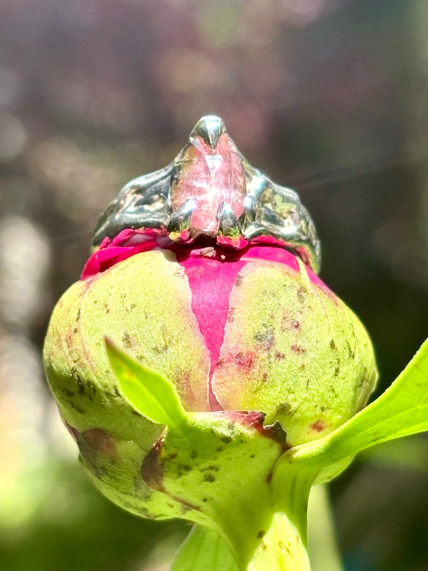 Rosamund Ring - Size 6.25