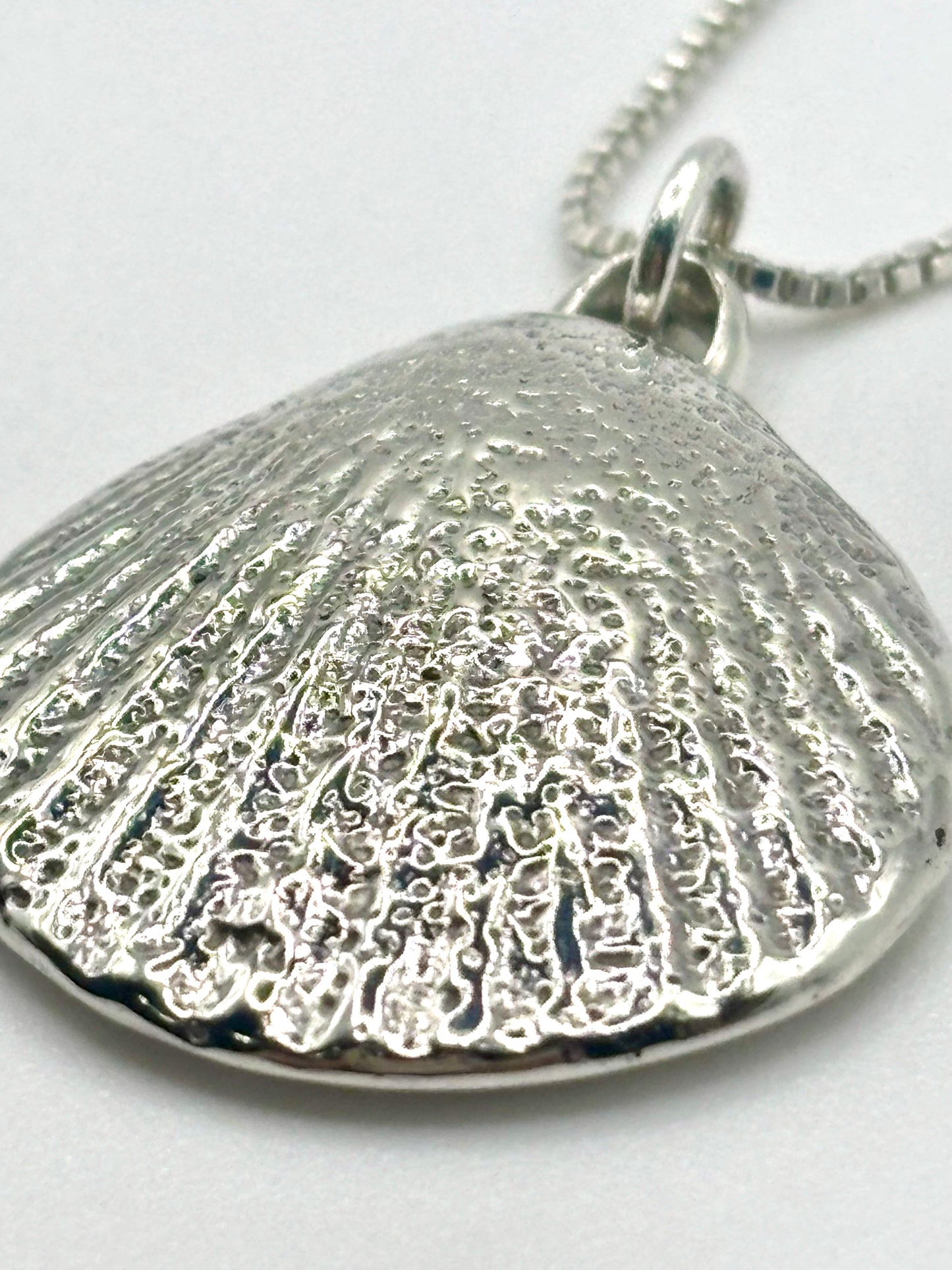 Summer Shell Necklace